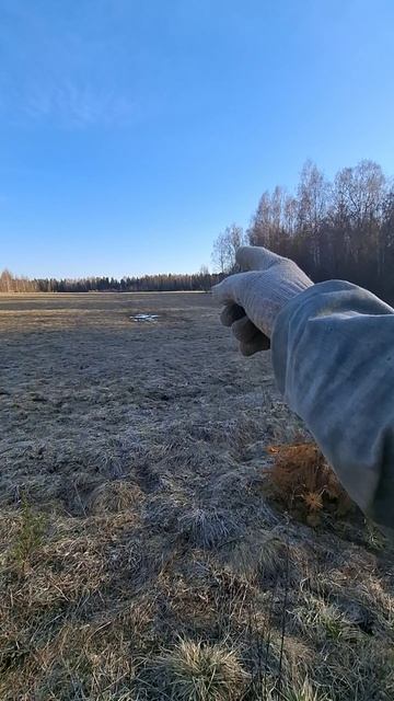 МИТРИДЖОВСКИЙ ПРУД