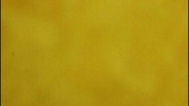 Алкашня и выходные дни.14.12.2024.