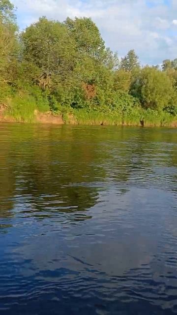 Красивая рыбалка 🐟 #fishing #отдыхнарыбалке #отдыхнаприр