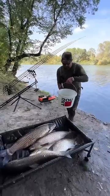 Свободна для мужчин 😍 #hunting #озеро #carpfishing #поход #fishing #?