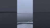 Ледоход Wellboat #рыбаки #якутия #республикасаха #охота #fish
