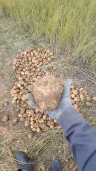 Теперь всегда буду использовать эти спец удобрения на