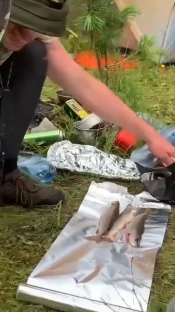 Пакрафтинг это ещё и рыбалка на горных реках #travel #fishing