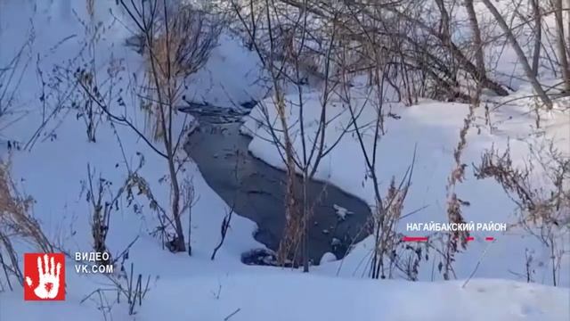 Прокуроры через суд заставили чиновников дать воду жителям п. Новопокровский