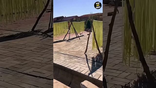 Тыква хранение