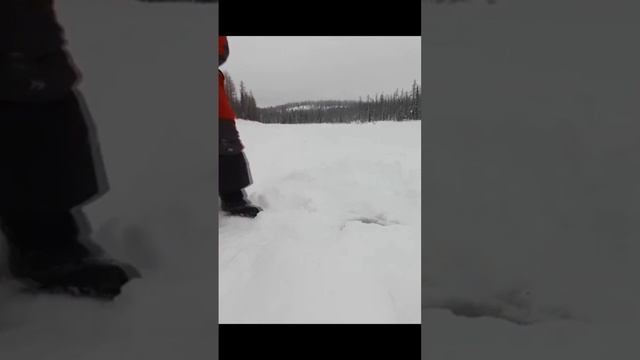рыбалка в заполярье #рыбалка #fishing #поход