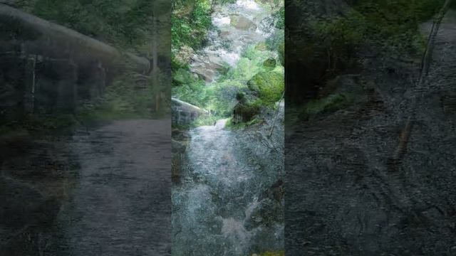 Пеший поход к кругозору Ефремова (Сочи, пгт Красная Поляна)