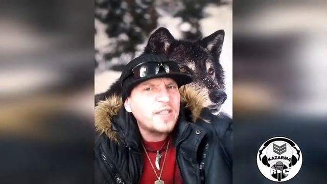 Волчьи слёзы (ремейк)