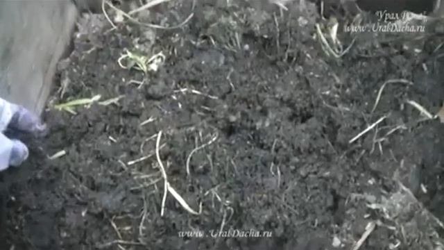 Как сделать самый быстрый компост