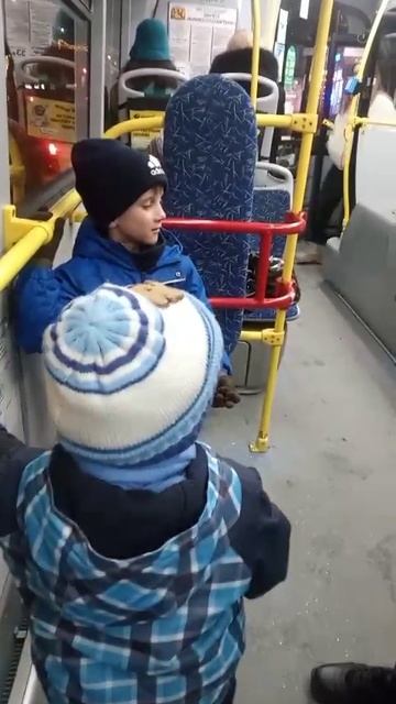 Ваня и Даня первый раз едут на автобусе