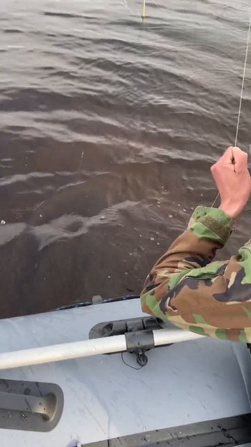 Щука 🐟 #карелия #счастье #fishing #рыбалка #щука #озеро #пу?