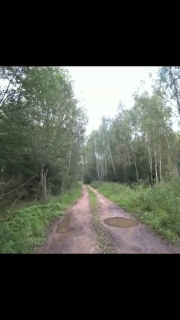 Отрывок 2 (одиночный поход с ночевкой) #поход #бушкрафт