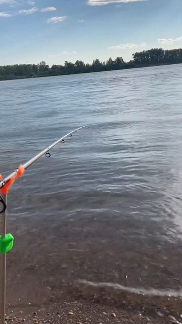 Поклевок Вам в ленту #рыбалка #fishing #рыбалкабашкортост?