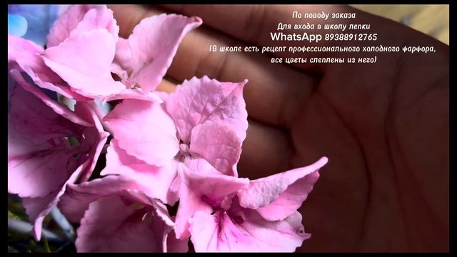 Варианты свадебных букетов#холодныйфарфор #цветы гор?