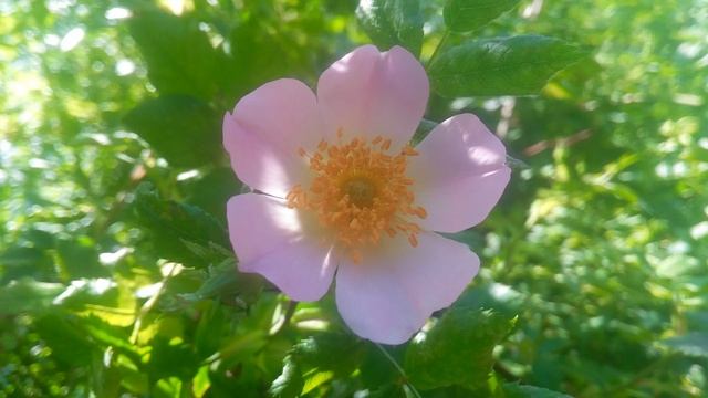 VID_20250506_104206