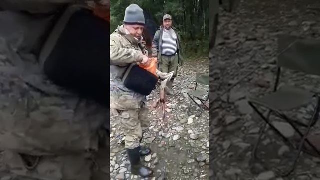 р.Радуга  кижуч..сентябрь