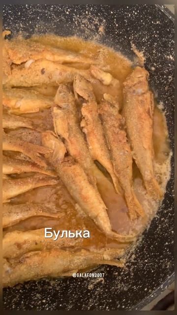 ГДЕ КУПИТЬ СВЕЖУЮ РЫБУ В СУХУМЕ???
