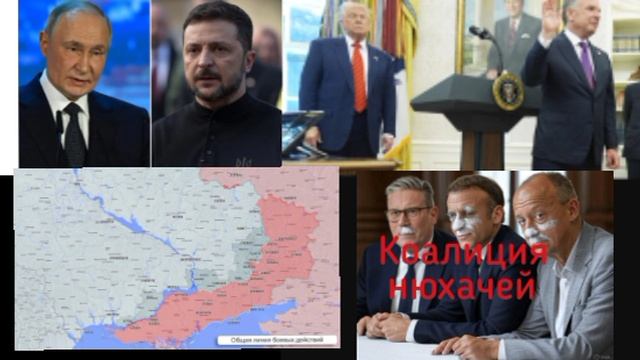 Последние новости вокруг переговоров по Украине: