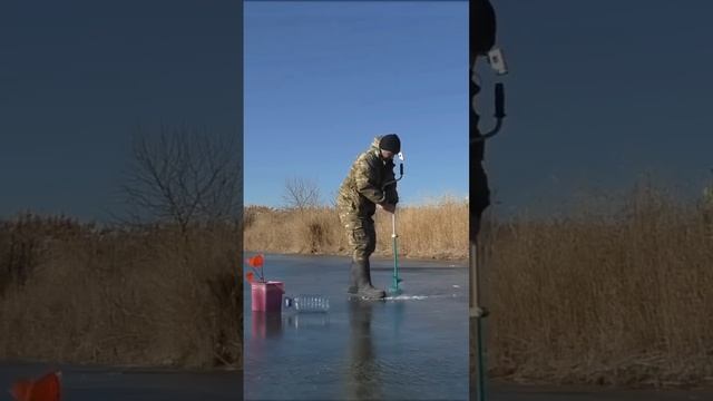 Рыбалка по первом льду #живец #рыбалка #fishing #рекоменда?