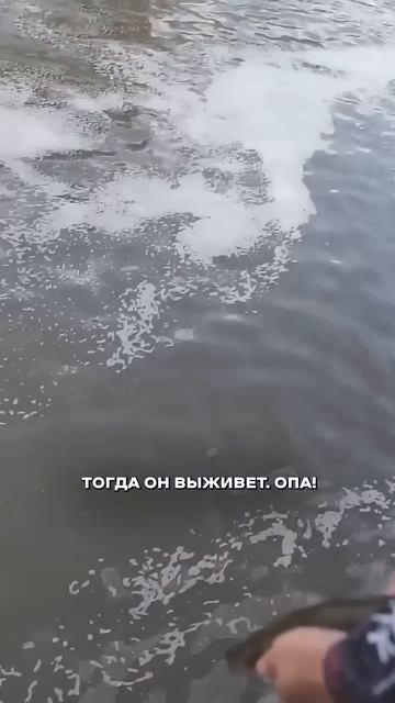 Рыбалка в центре Москвы! Кто водится в Яузе?