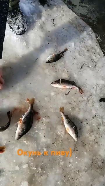 На таёжных реках!