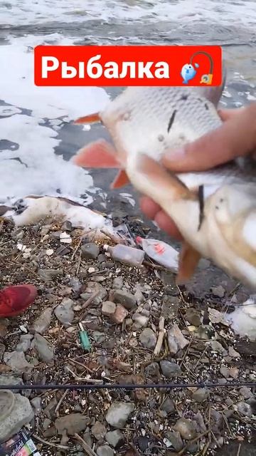 Рыбалка 🎣 Весной 2022