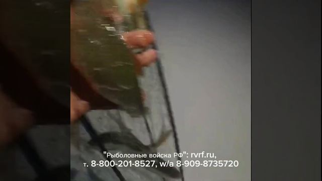 "Спрут" с кормушкой проявил себя с лучшей стороны. Зака