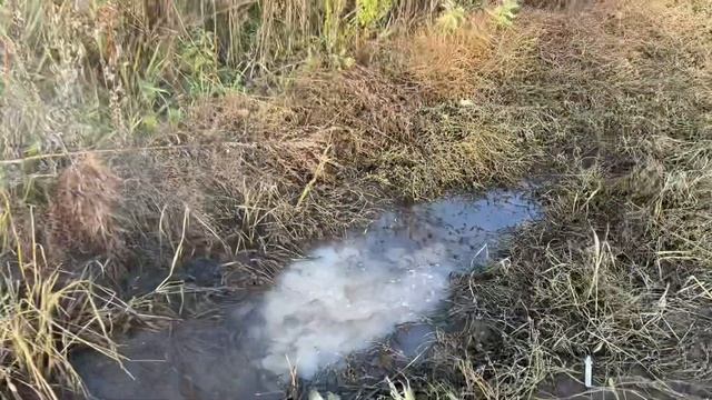 ПІРО 5 (РГД-5) від виробника PYROSOFT