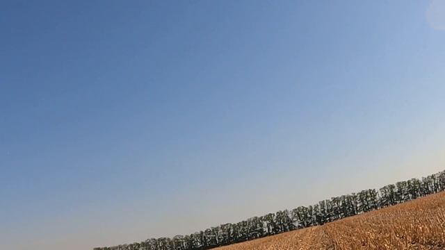 ОХОТА НА ПЕРЕПЕЛА…