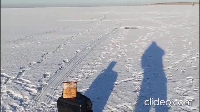 Айдыкуль. 26 ноября 2024 г.