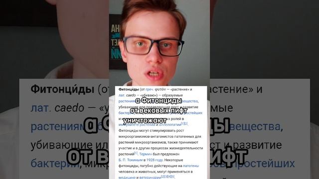 Кислые источники тур из Краснодара