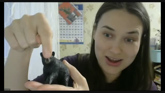 нолики, подготовка к следующей книге