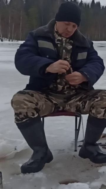 ОКУНЬ НА СВЕЖЕГО ЧЕРВЯ