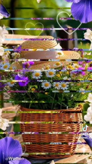 VID-20250513-WA0014