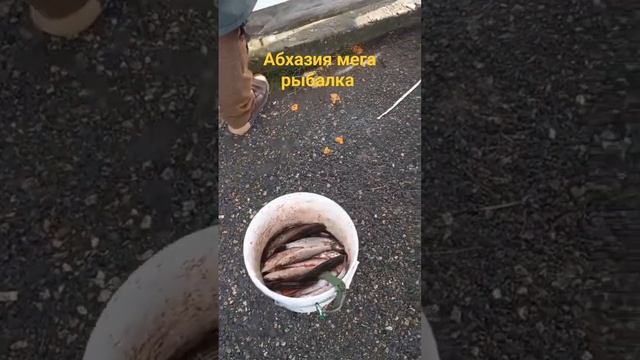 Абхазия морская рыбалка 30.01.2024