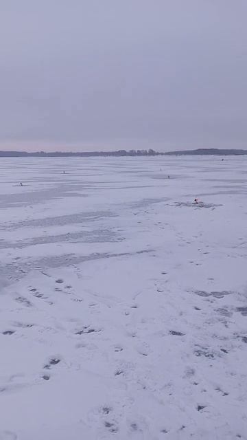 рыбалка