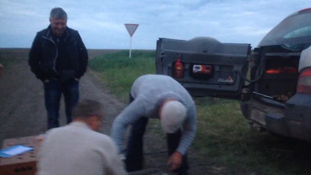 Спортивные голуби. Соревнование на 215км. 17 июня 2018 года.