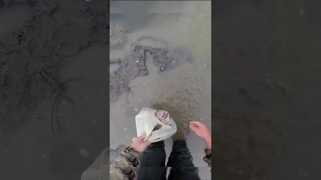 Спас много рыбы #рыбалка #сазан #рыбалканаозере