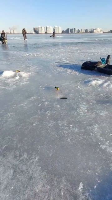 #shorts Рыбалка на ФИНСКОМ ЗАЛИВЕ!Ловля КОРЮШКИ #fishing