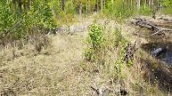 обход затона на Пре, как не встретить кабана