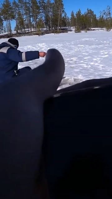 Многие рыбаки будут в восторге от этого лайфхака😯#sorts