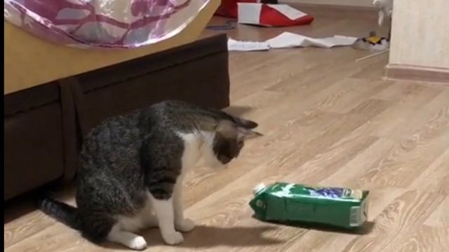 Кручу верчу тебя запутать хочу 🙃