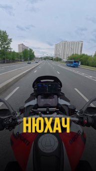 Вы тоже чувствуете запахи?