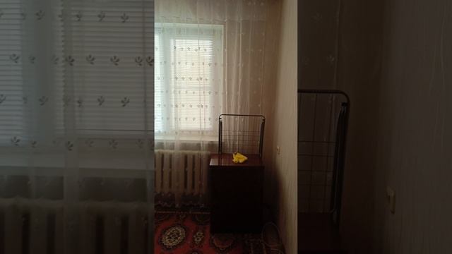 1000635886.mp4