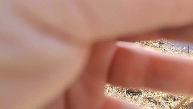 Фидер, река Луга 13.04.25