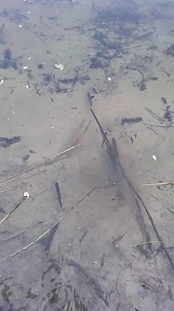 зимняя рыбалка по открытой воде  на поплавок, fishing for rive