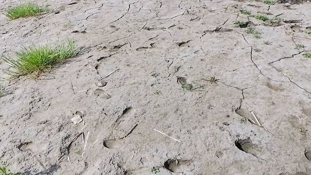 г.Енакиево что происходит с водоёмами из-за нехватки воды в днр 13.05.2025г.