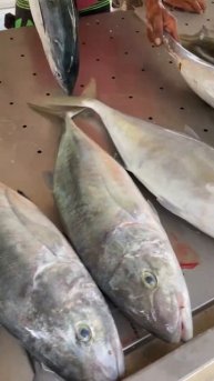 Улов после сейшельской рыбалки