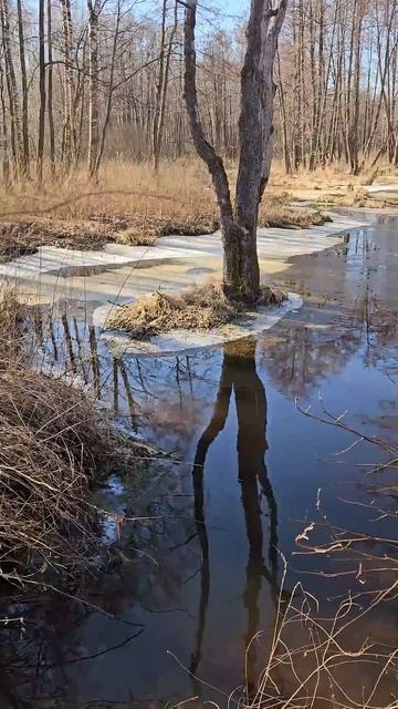 Прогулка по речке в поисках перспективных мест для ло?