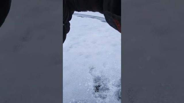 КРУПНЫЕ ГОРБЫЛИ🐟 НА ЗИМНИЙ СПИННИНГ 🎣. РЫБАЛКА в Вит